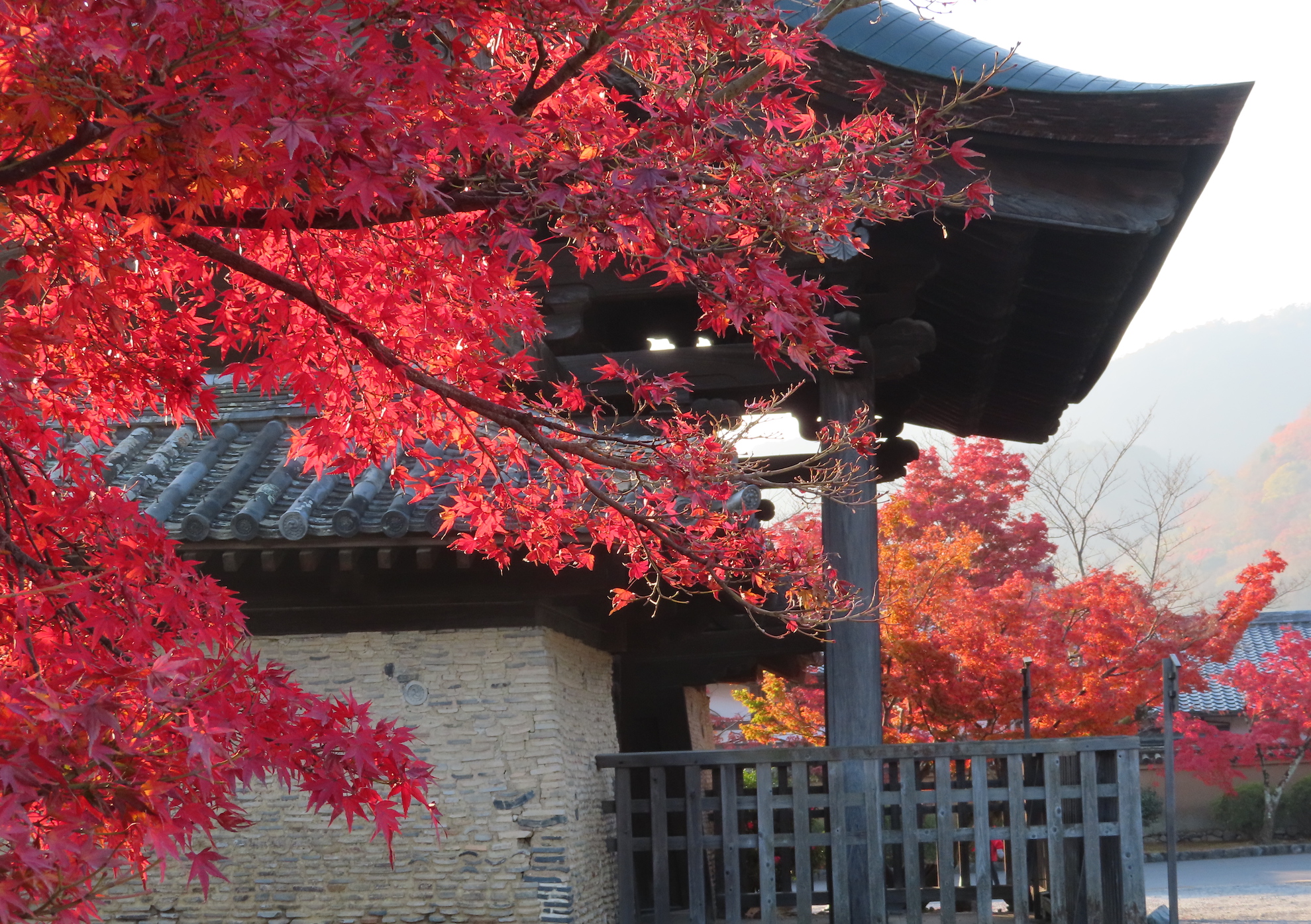 2019年京都の紅葉見頃は11月下旬のようです♪