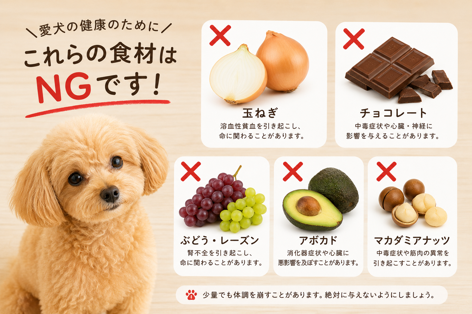愛犬への手作りごはん、実は危険な食材がある?犬にNGな食材と安全な代替食材まとめ
