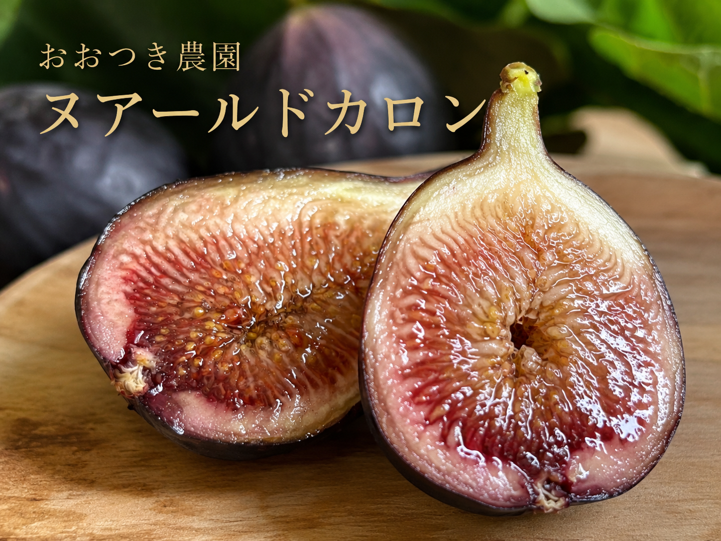 ヌアールドカロンの夏果を収穫しました