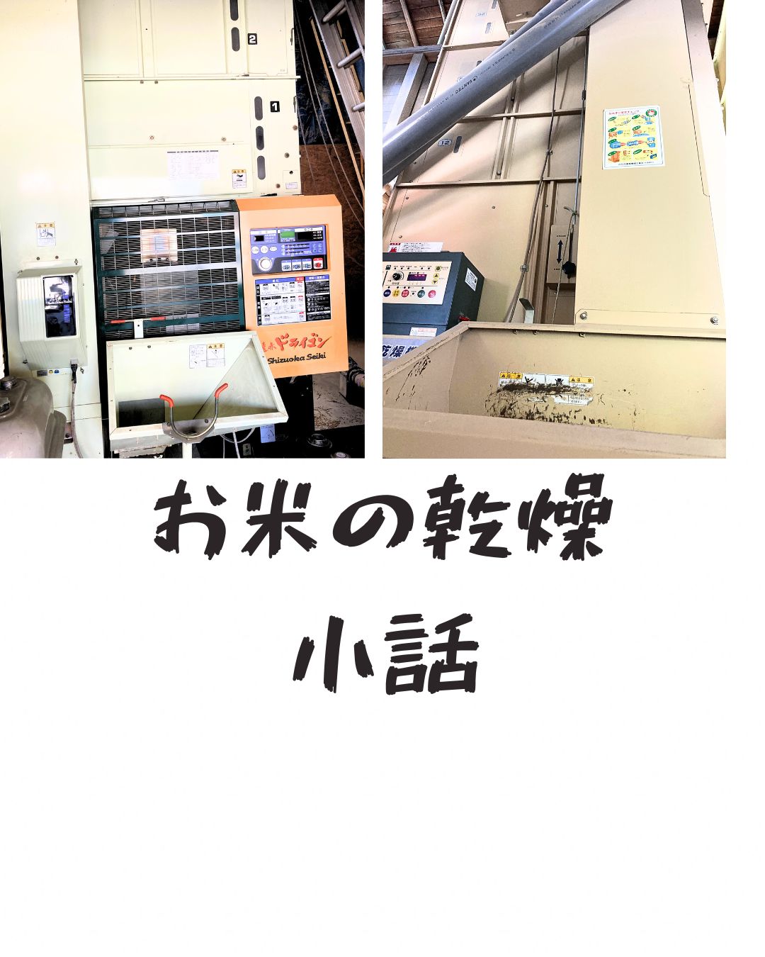 お米の乾燥小話！