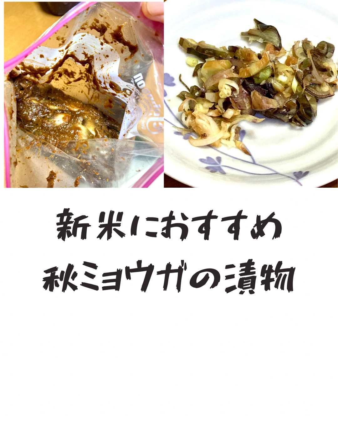 新米におすすめ！秋ミョウガの漬物