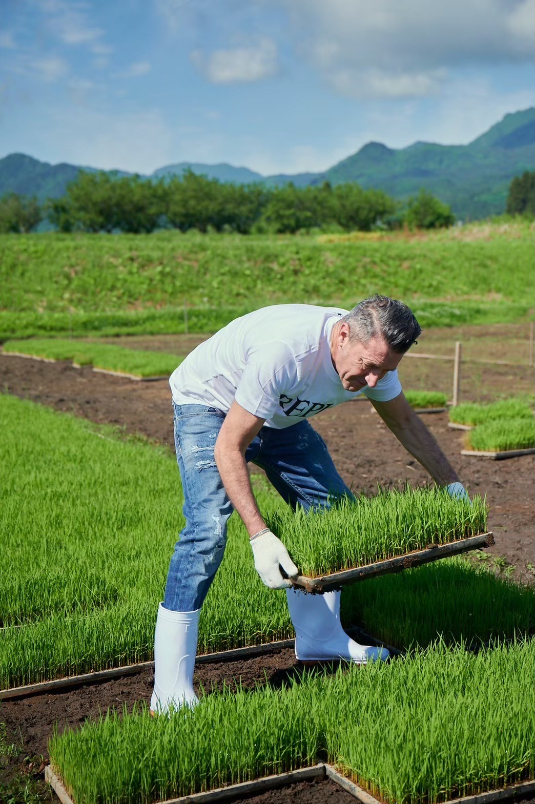 【間も無く終了！！】GIRO米・田んぼオーナー制度