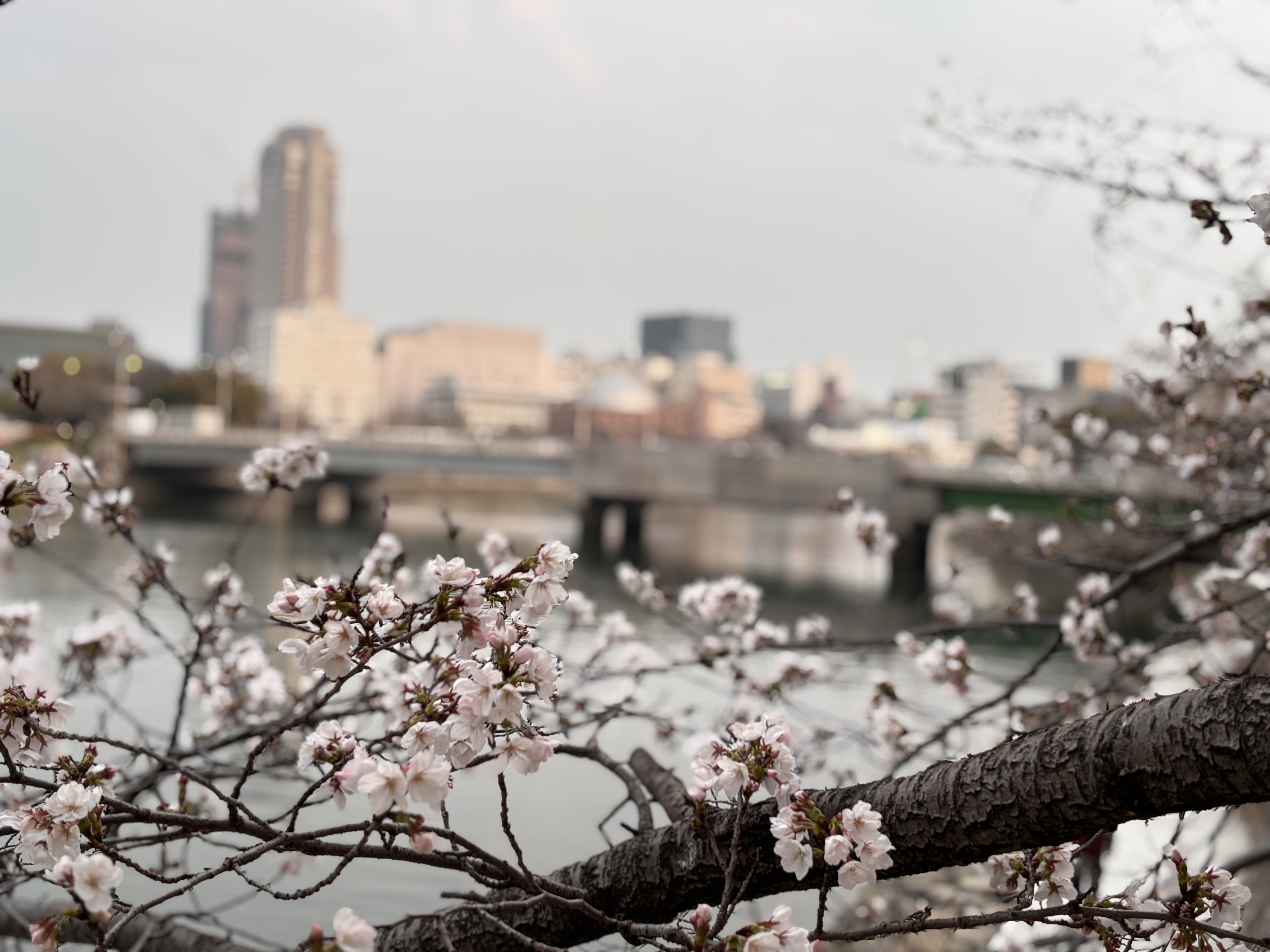 4月