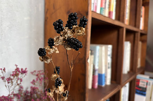 日々のあれこれ