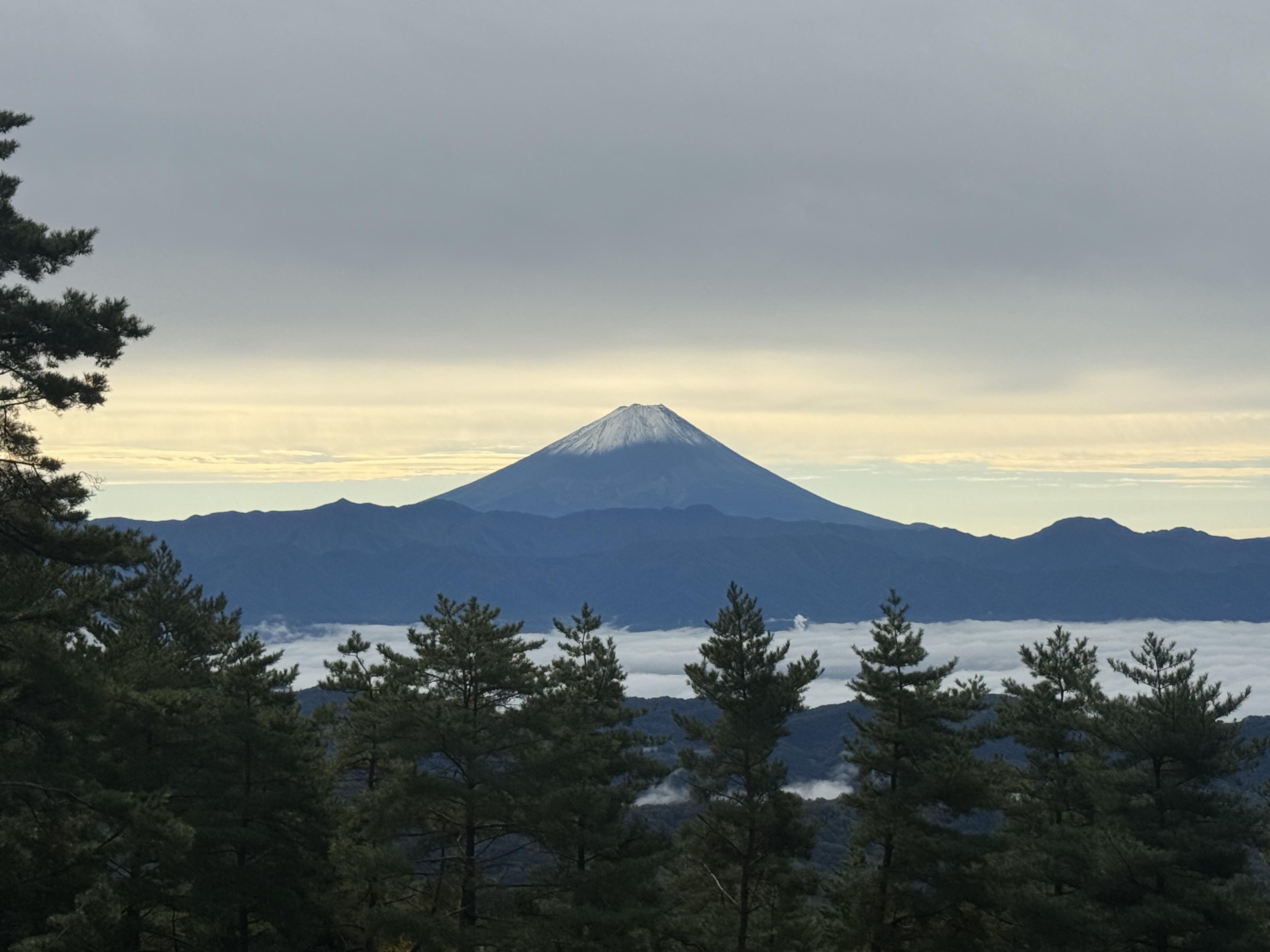 はじめまして🌱