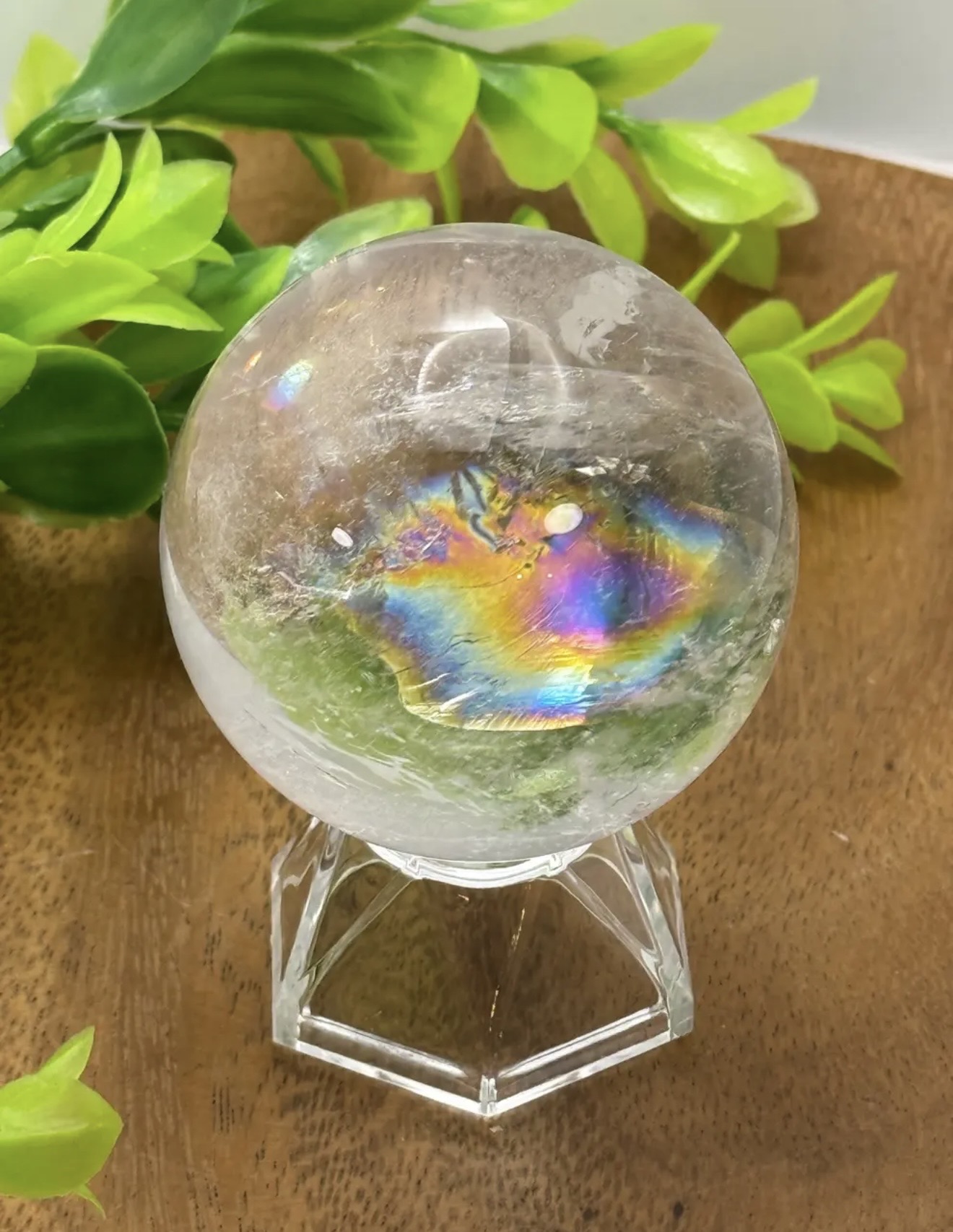 今後のPOP UP出店予定