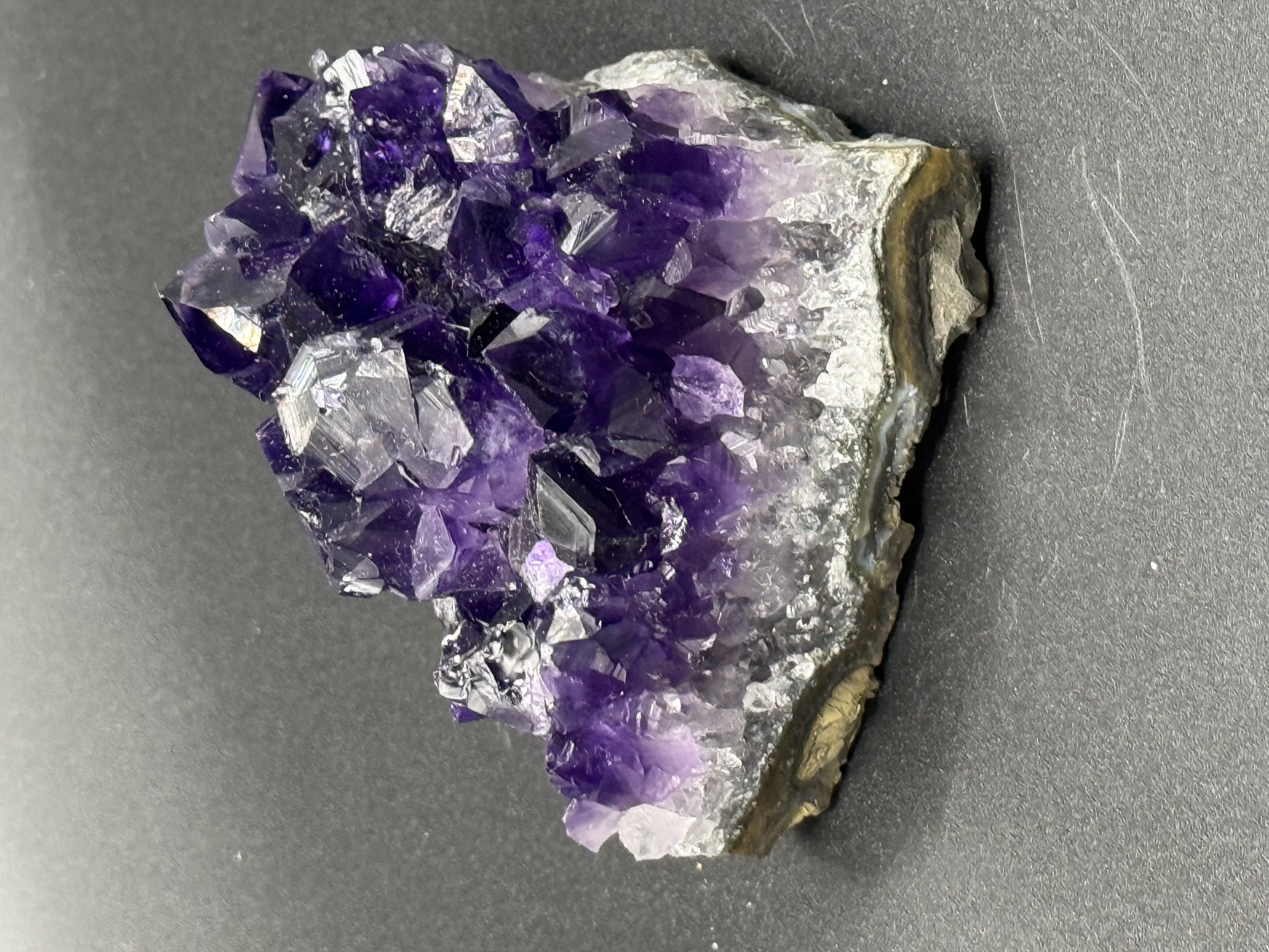 お迎えいただきありがとうございました！