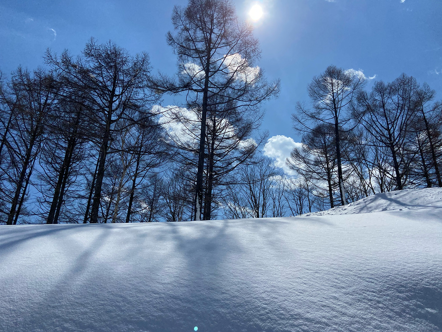 季節の移り変わりとともに