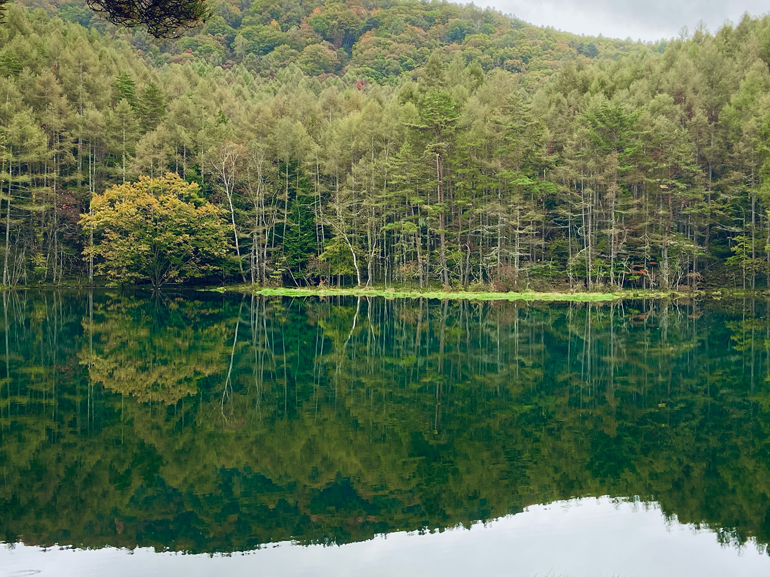 アートとの向き合い方