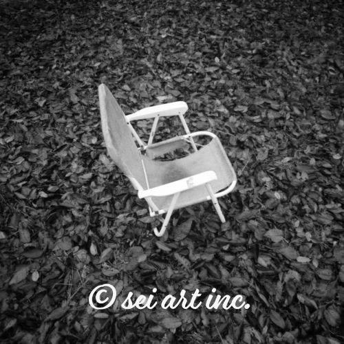 Fallen Leaves and Chair (B&W) | 落葉と椅子 モノクロ