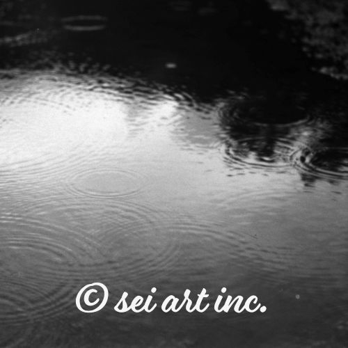 Ripples in Puddle (B&W) | 波紋 水たまり モノクロ