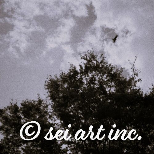 鳥と木と空（モノクロ）