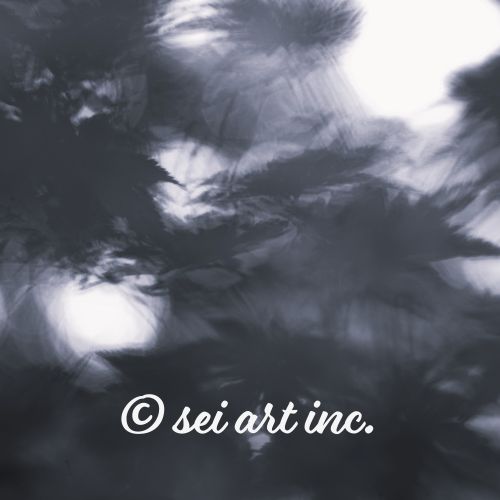 Maple Abstraction (B&W) | もみじ モノクロ　アブストラクト