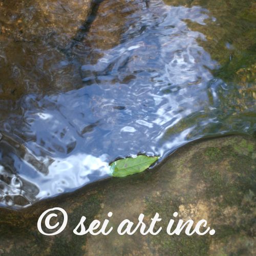 Drifted Leaf  | 流れついた葉