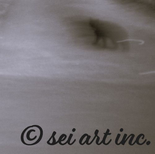 ふりむいたクロネコ（モノクロ）