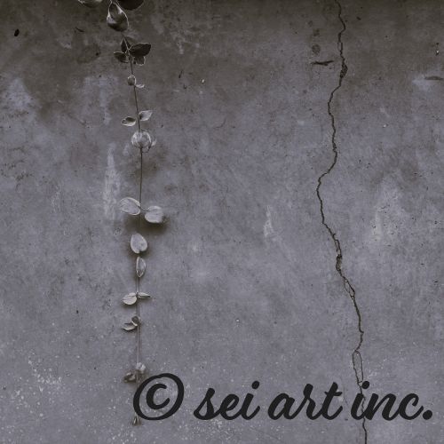 ツルとひび割れ　モノクロ　デザインの商品リンク