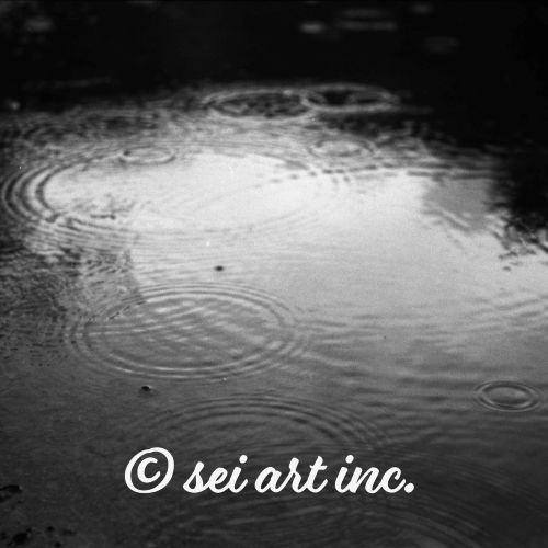 Ripples (B&W) | 波紋 モノクロ