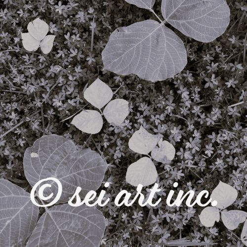 葉　自然　モノクロ　デザインの商品リンク