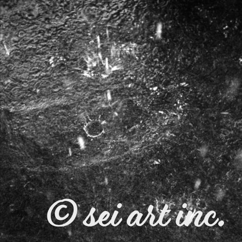 激しい雨（モノクロ）