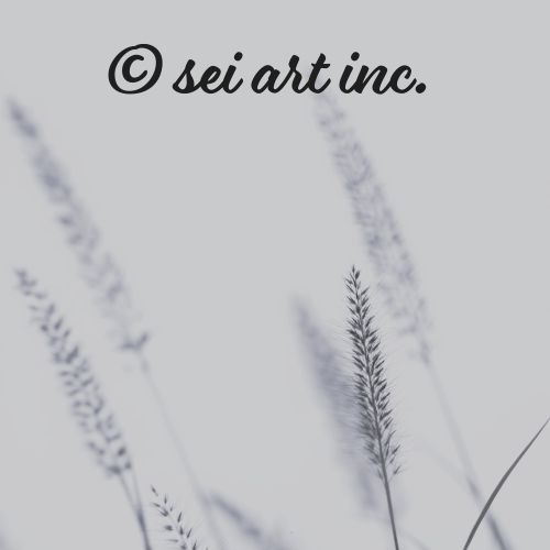 ねこじゃらし　エノコログサ