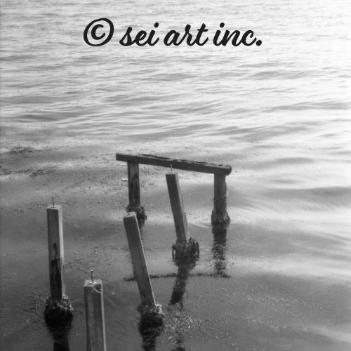Decayed Pier (B&W) | 朽ちた桟橋 モノクロ