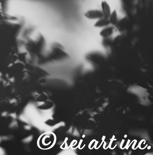 葉　グリーン　自然　モノクロ　写真デザインの商品リンク