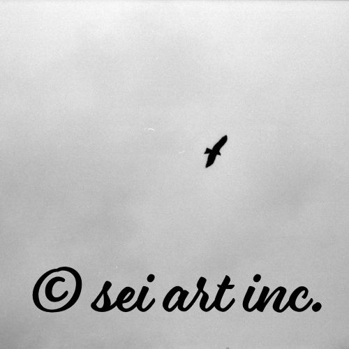 鳥と空（モノクロ）