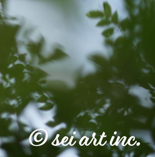 葉　グリーン　自然　写真デザインの商品リンク