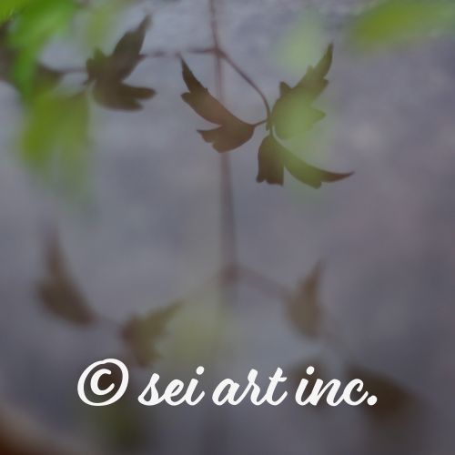 水面に映った植物