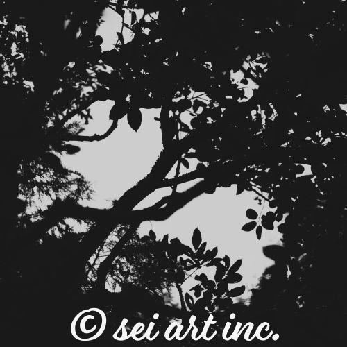 フォレスト（モノクロ）