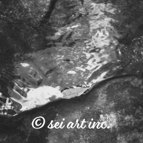 Drifted Leaf (B&W) | 流れついた葉 モノクロ