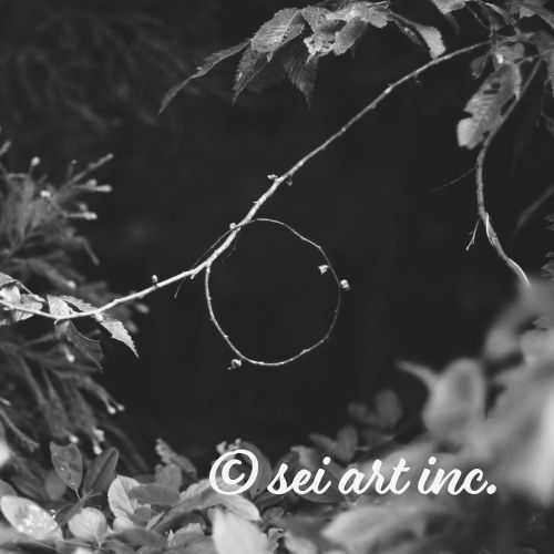 木のリング　モノクロ　写真デザインの商品リング