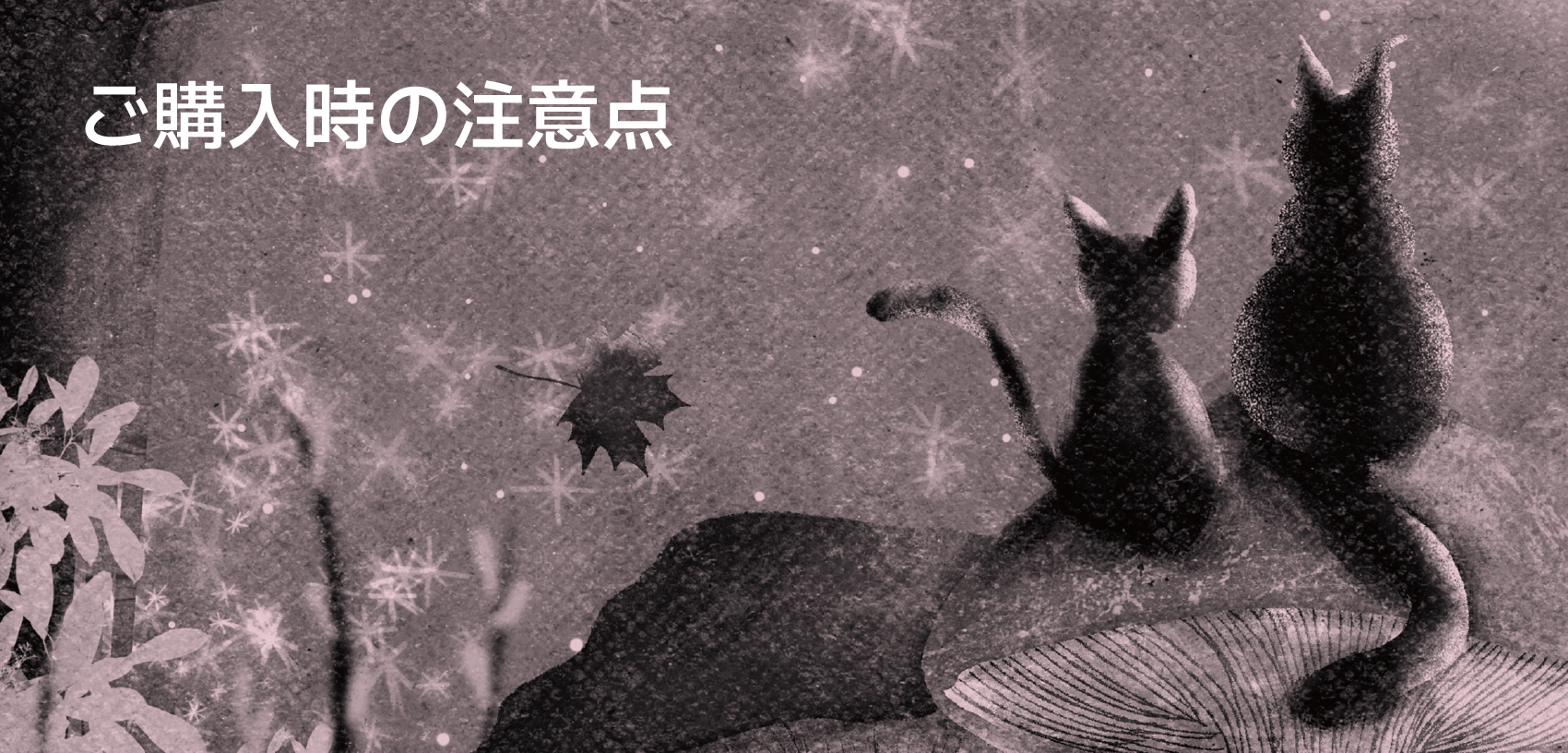 ご購入時の注意点