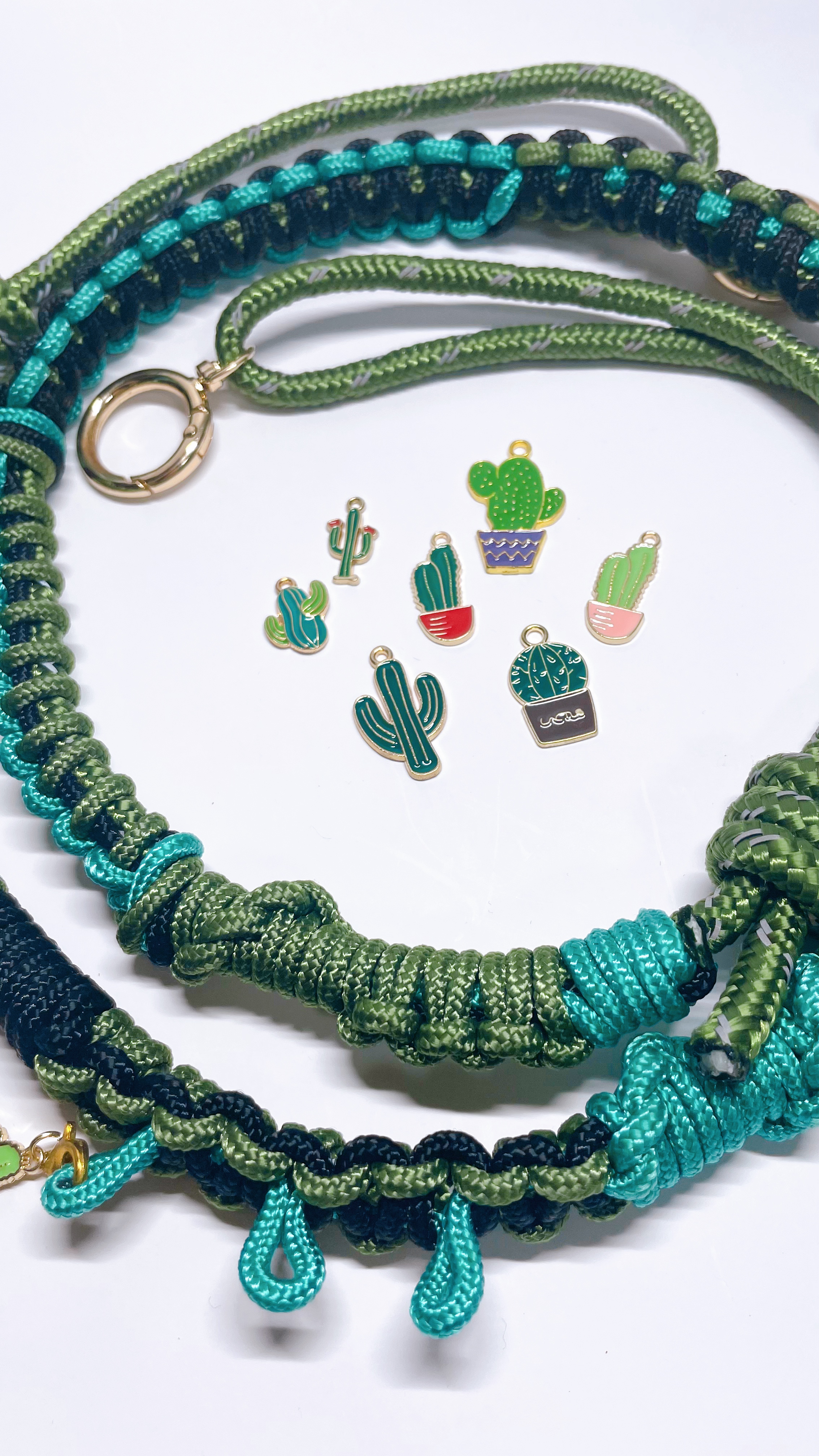 【つなサボ】サボテンのまち・春日井から生まれた、つながりのカタチ