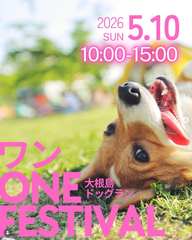 2026年5月10日（日）島根「大根島ワンONE祭り」に出店します！