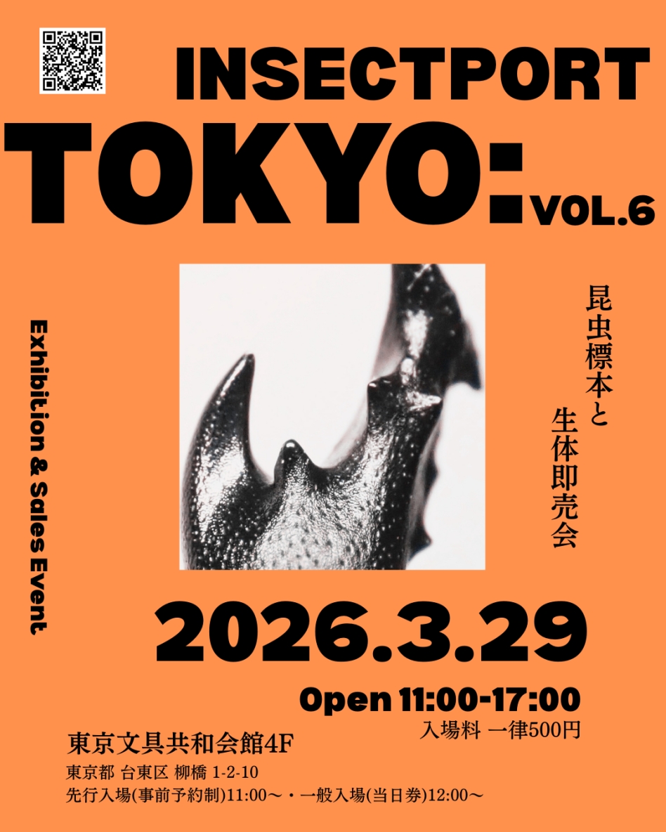 【出店告知】3/29(日) 昆虫即売会「INSECTPORT TOKYO」にMGMが出店します！