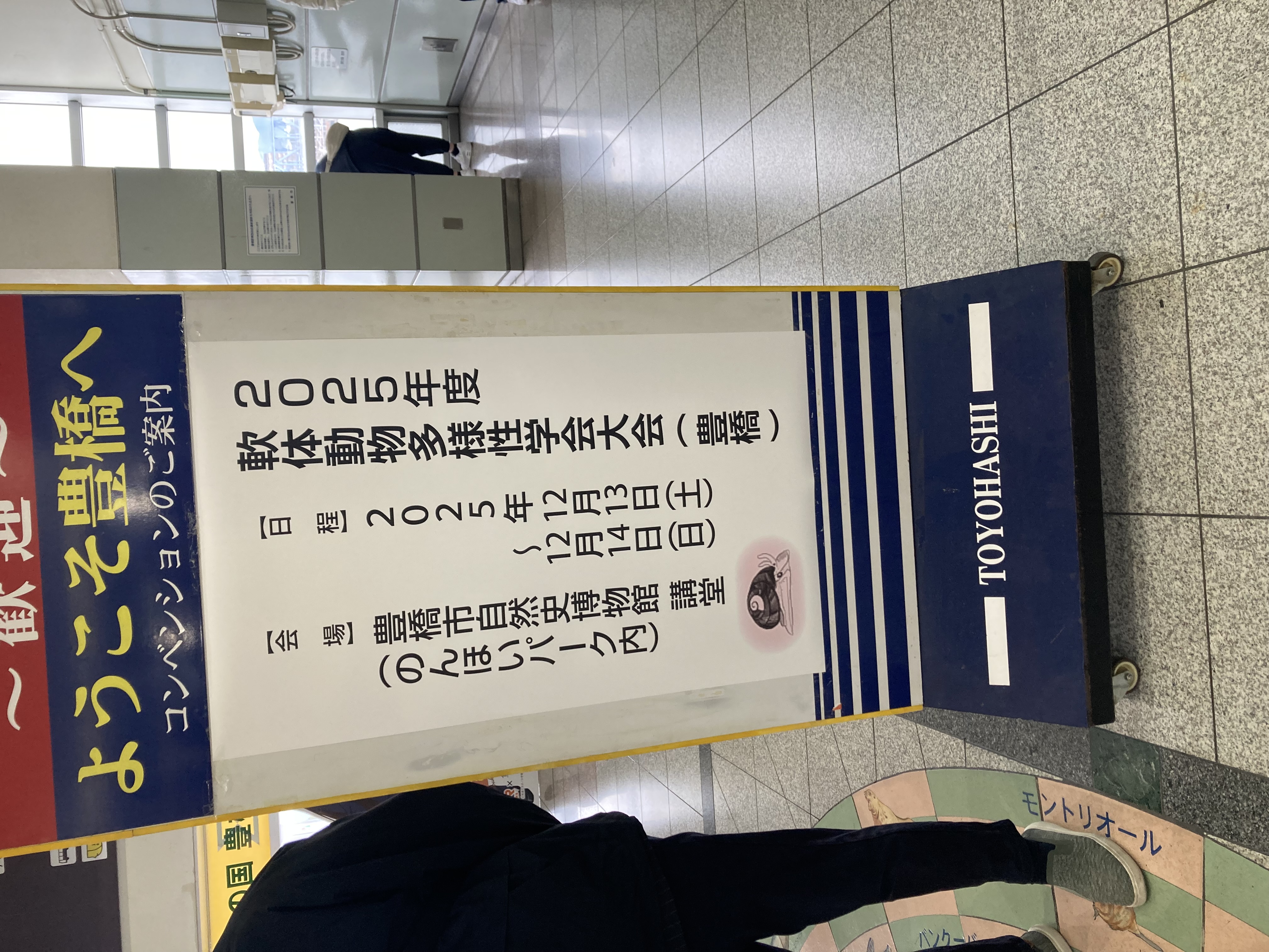 愛知県豊橋市で開催の2025年度軟体動物多様性学会大会にやって来た🐌