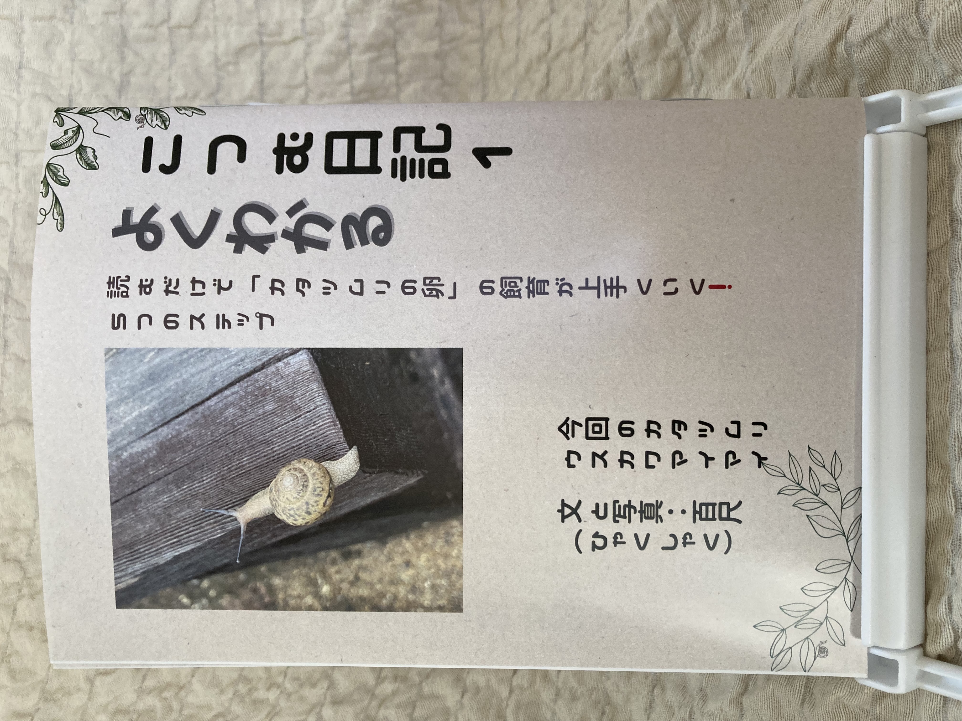 作品紹介 こつむ日記 1について詳しく解説！