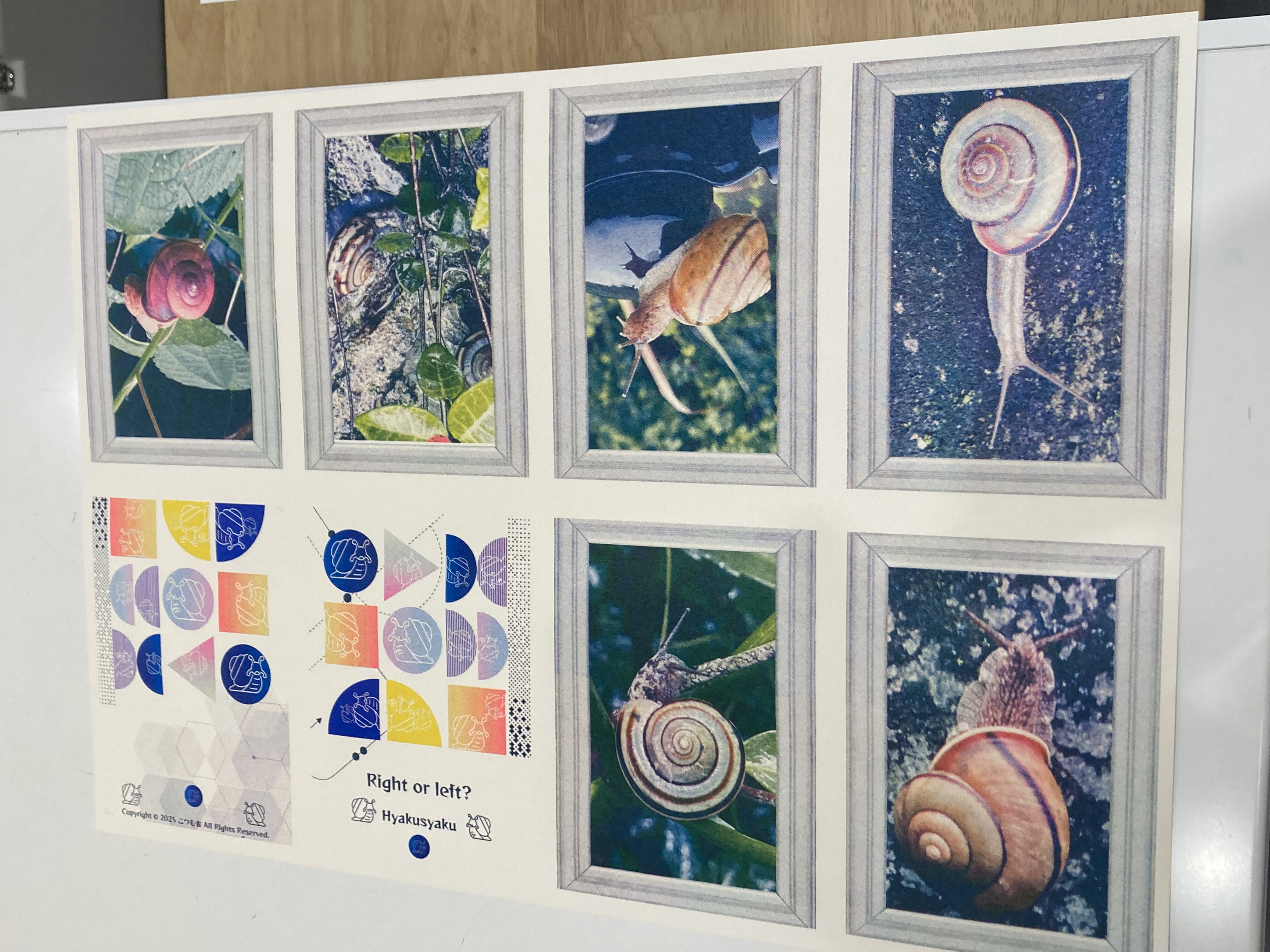 新作のZINEの制作で、リソグラフのアートスタジオを訪れました😊