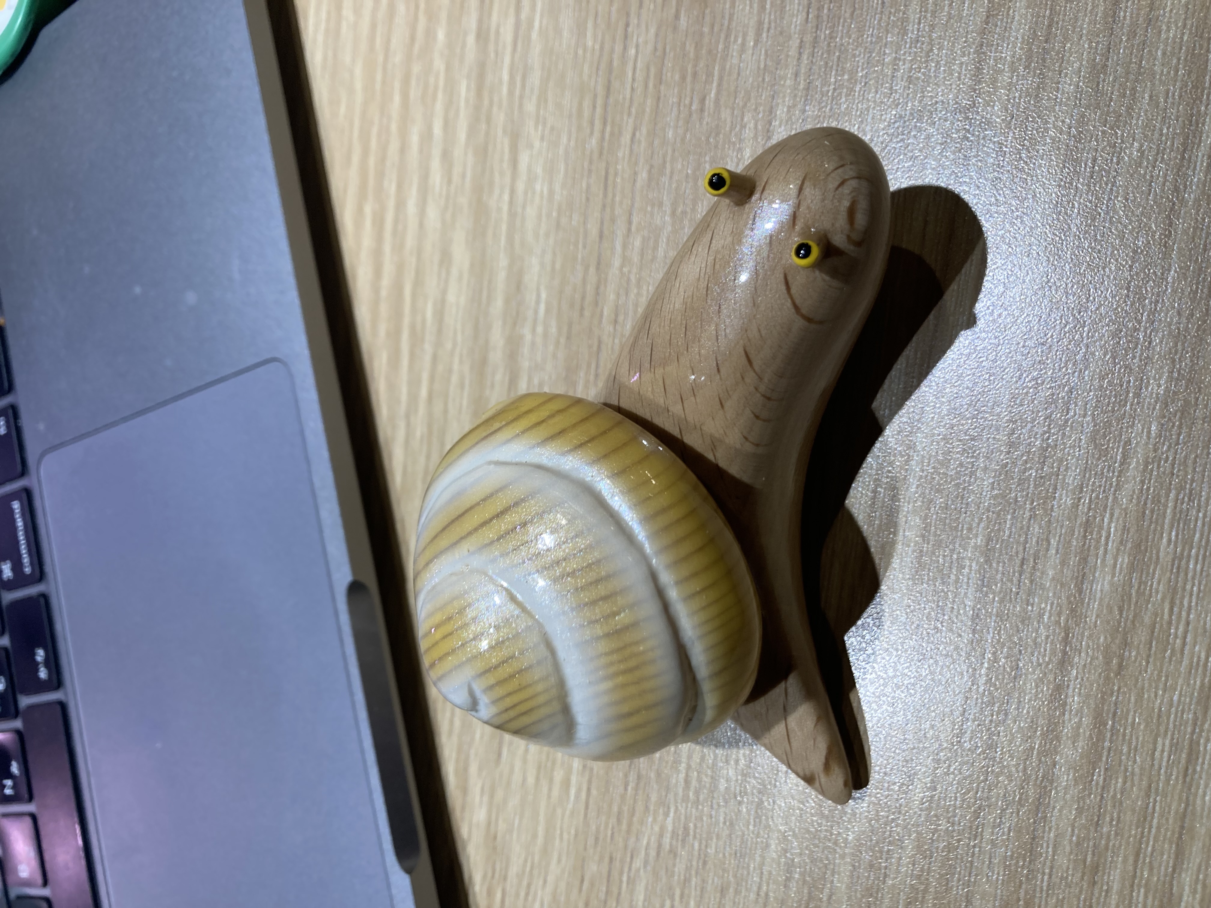 こつむ舎について