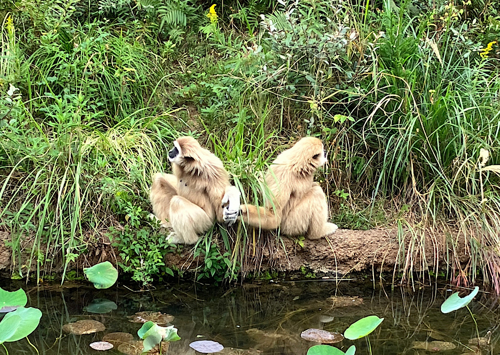 ときわ公園散歩