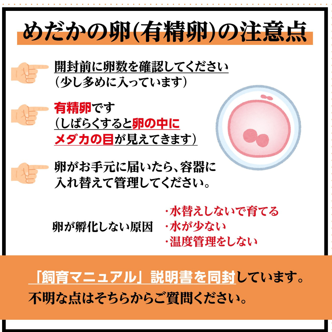 たまごの管理方法について