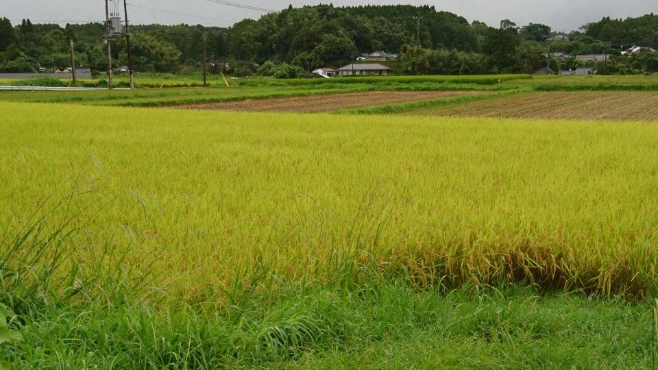 [2019/08/14]　台風接近中‼
