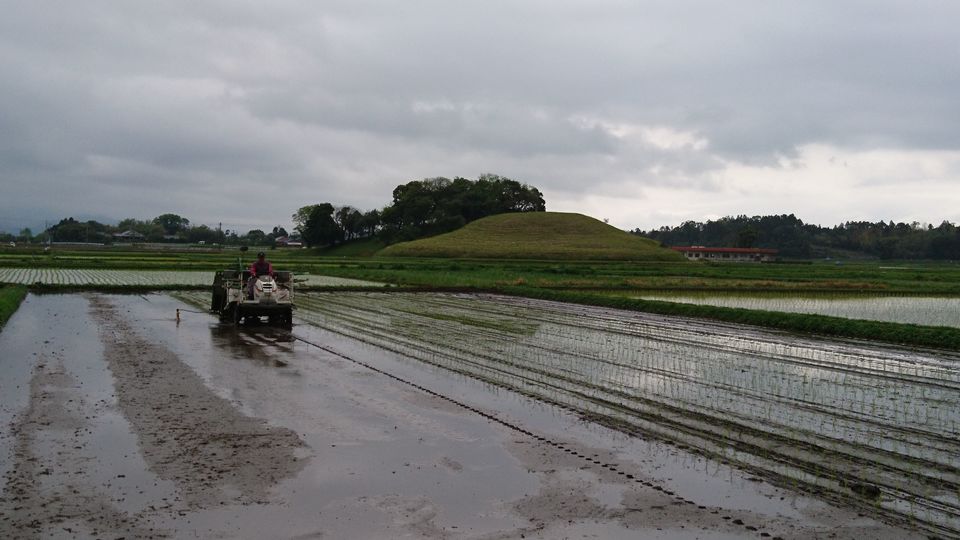 [2021/04/02]　田植えが始まりました！