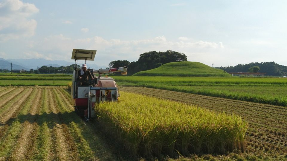 [2019/08/22]　新米、出来ました‼