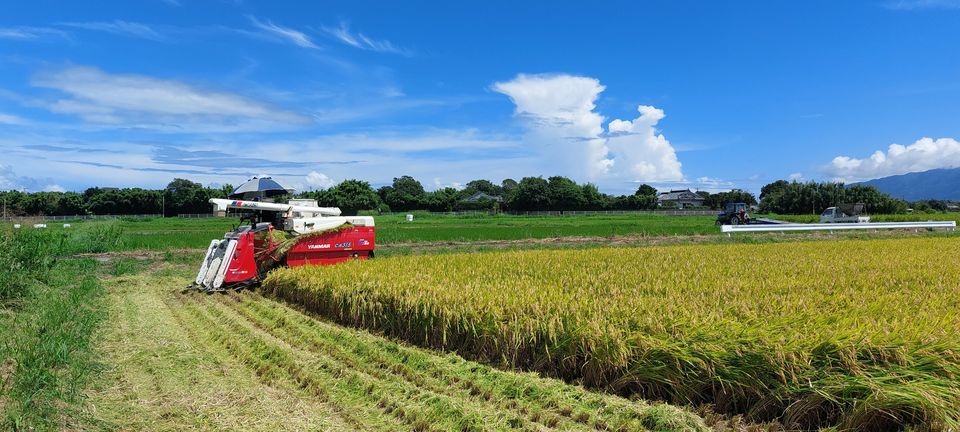 [2023/08/29]　☆新米出来ました☆