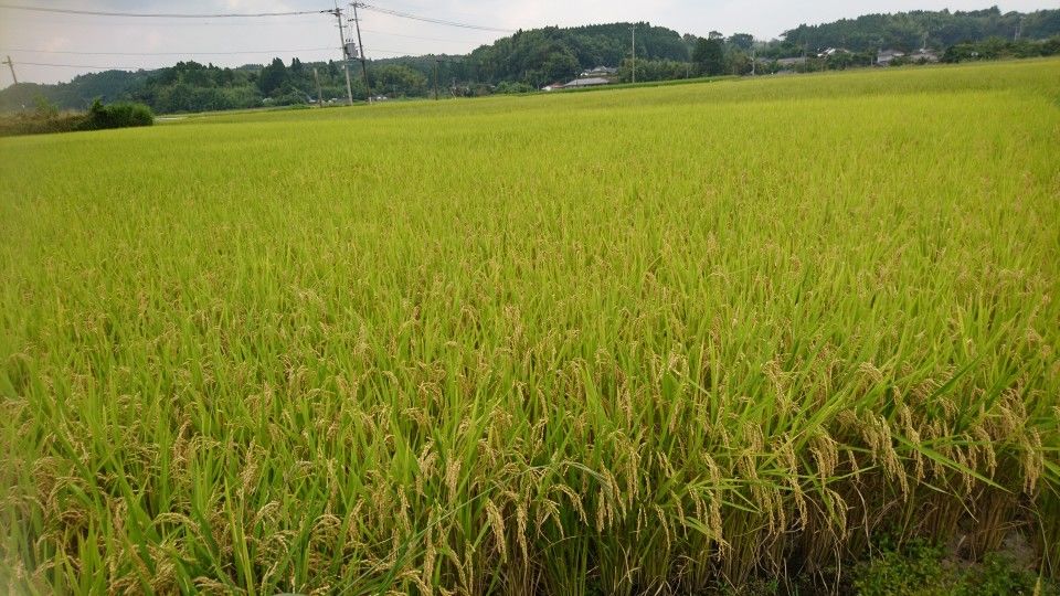 [2019/08/06]　台風の影響もなく