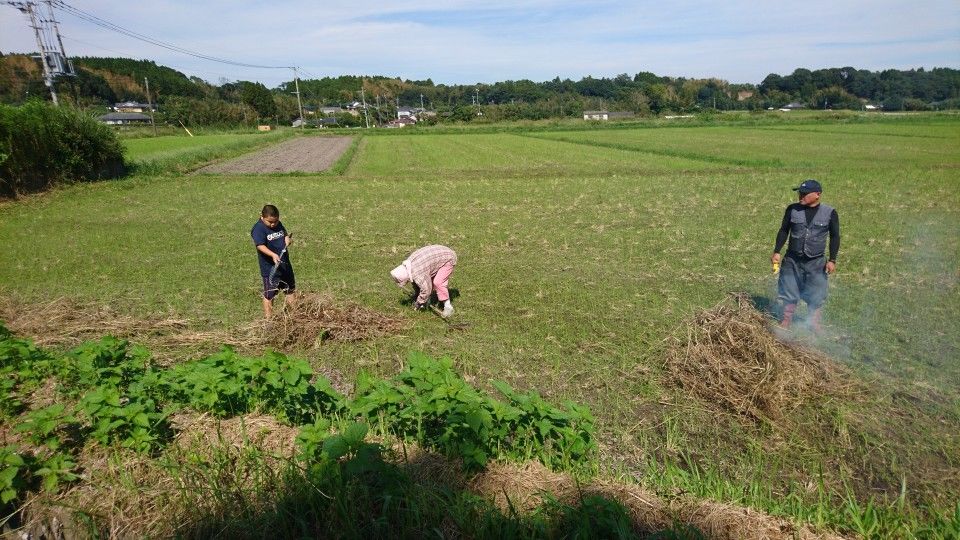 [2020/10/04]　９月の様子～