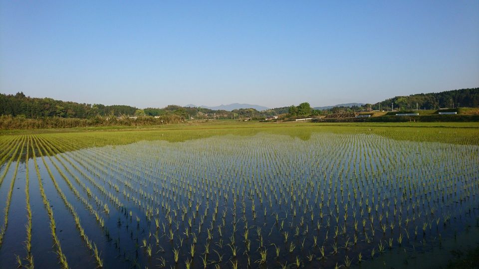 [2020/04/29]　快晴‼