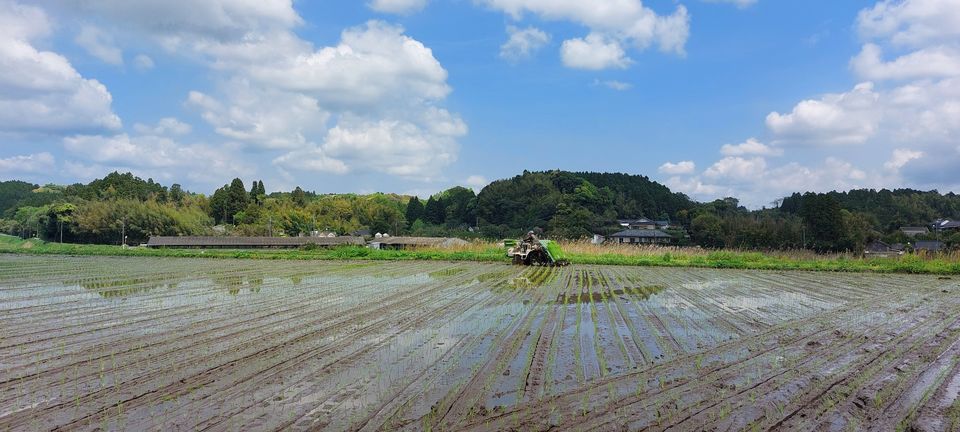 [2024/04/30]　令和6年産なつほのか　田植え